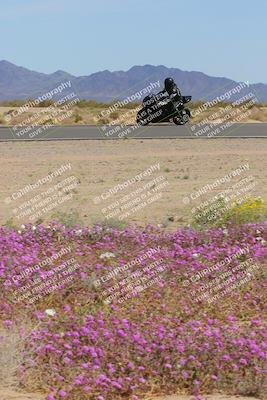 media/Mar-12-2023-SoCal Trackdays (Sun) [[d4c8249724]]/Turn 15 Inside Bloom (130pm)/